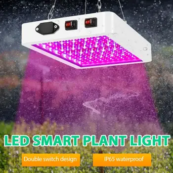 LED Grow Light Plant Growth Lamp Indoor Waterproof Plant Supplementary Light Three-mode Quantum EU/US/UK Plug Board Plant Lamp