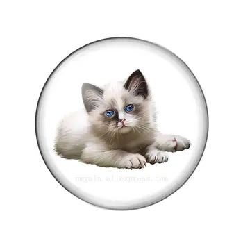 Art Lovely Baby Cat Drawings 10mm/12mm/14/16/18 mm/20mm/25mm Round photo glass cabochon demo flat back Making findings