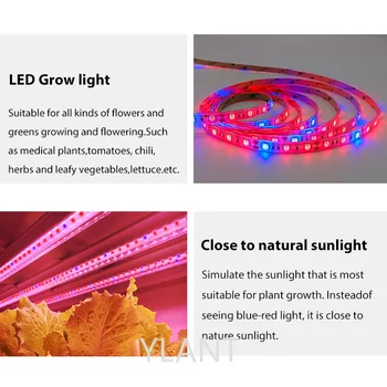 15M 20M 10M 5M Plant LED Grow Light 4:1 Full LED Spectrum Grow Light Strip SMD DC 12V LED Phyto Tape for Flowers Оранжерии