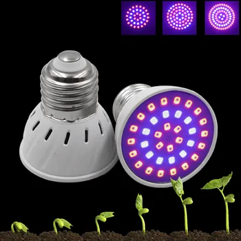 Phyto Led E27 Hydroponic Growth Light G10 Led 220V UV Лампа Plant E14 Flower Seadling Grow Bulb Full Spectrum Fitolamp MR16 Bulb