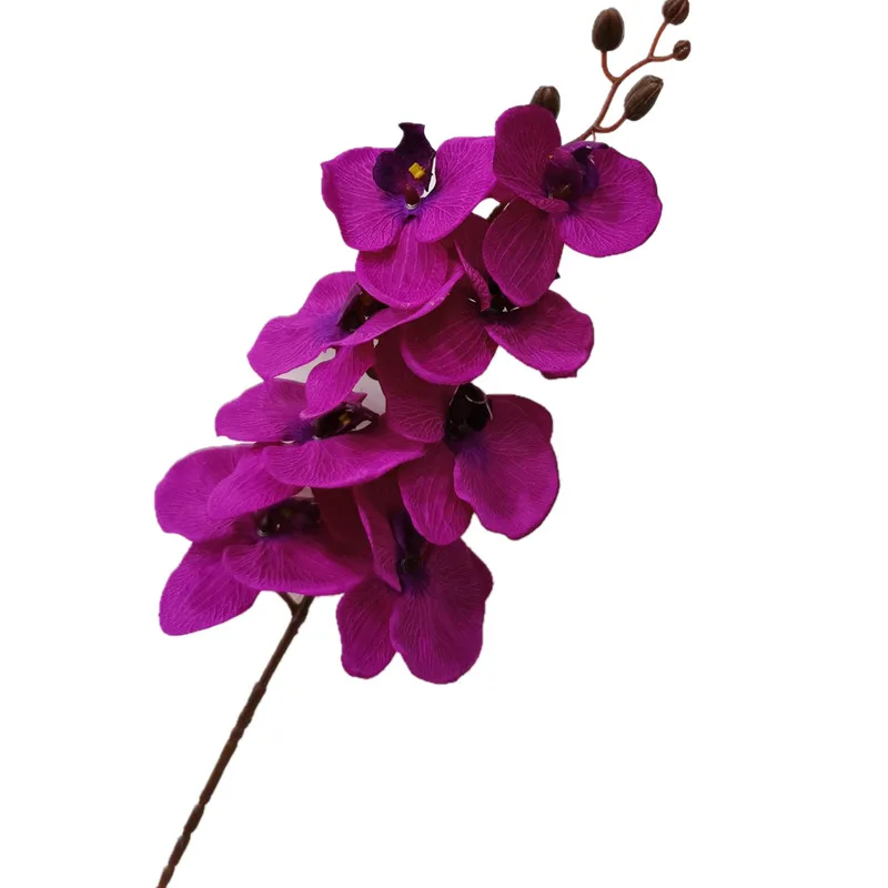 6 бр. Коприна Черна Пеперуда Орхидея Phalaenopsis Пеперуда на Цвете Орхидея Голям Размер на Главата за Сватба Декоративни Изкуствени Цветя